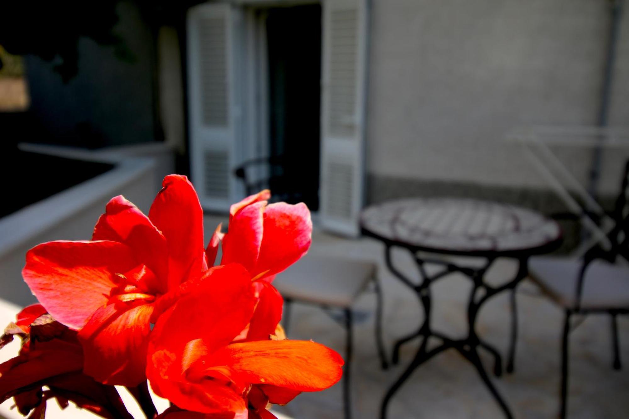 Velin Apartment